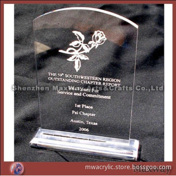 Pretty Polished Clear Acrylic/Lucite Trophy/Letterweight/Gift with Your Logo